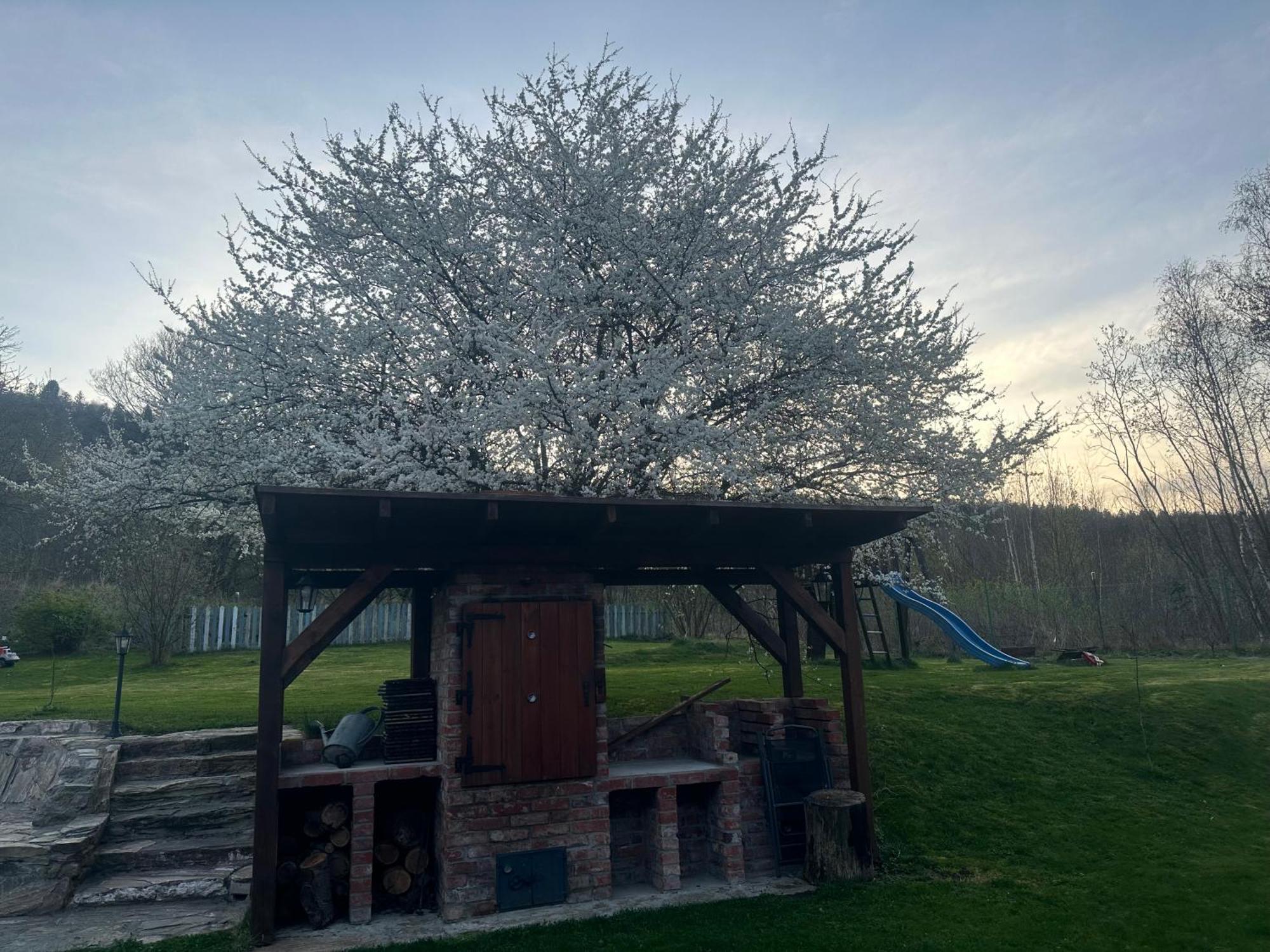Dom Supelek Bed & Breakfast Duszniki Zdrój Eksteriør bilde